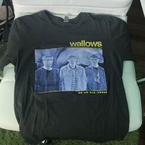 Wallows vintage band tee - winter tour 2018